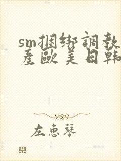 sm捆绑调教国产欧美日韩在线封面