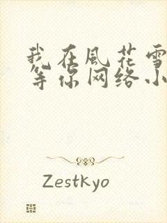 我在风花雪月里等你网络小说