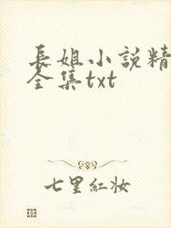 长姐小说精校版全集txt