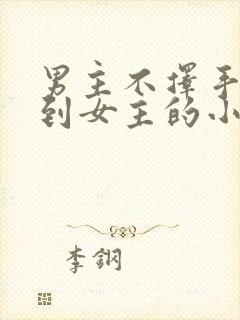 男主不择手段得到女主的小说
