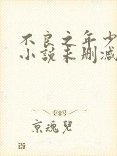 不良之年少轻狂小说未删减完整版