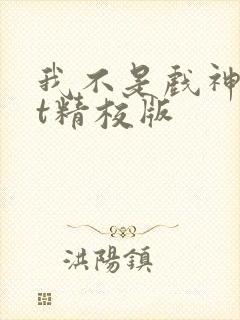 我不是戏神txt精校版封面