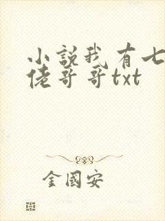 小说我有七个大佬哥哥txt