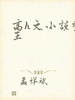 高h文小说双男主