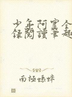 少年阿宾全文目录阅读笔趣阁