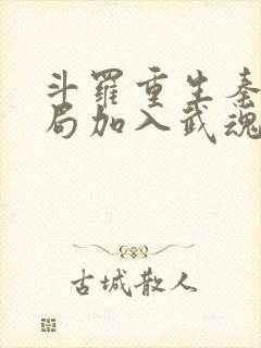 斗罗重生秦明开局加入武魂殿封面