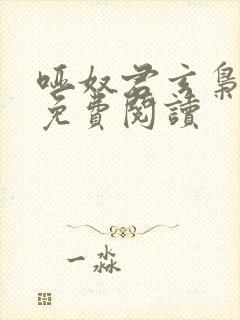 哑奴君玄枭全文免费阅读封面