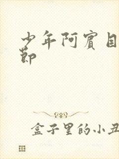 少年阿宾目录章节