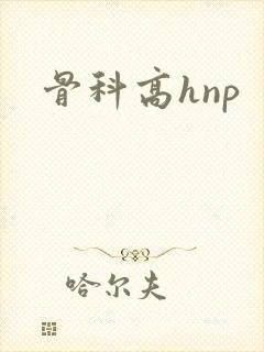 骨科高hnp