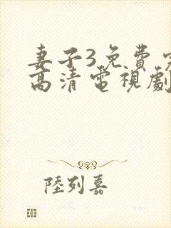 妻子3免费完整高清电视剧在线观看