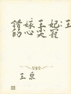 错嫁王妃:王爷的心尖宠