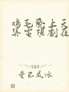 鸡毛飞上天58集电视剧在线观看