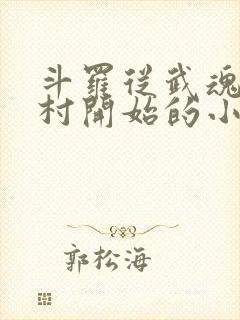 斗罗从武魂白兰村开始的小说