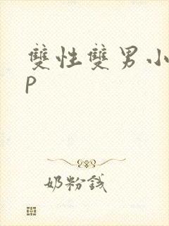 双性双男小说np