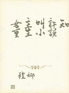 女主叫许知夏的重生小说