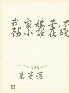 我家娘子,不对劲小说在线阅读