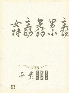 女主是男主首席特助的小说封面