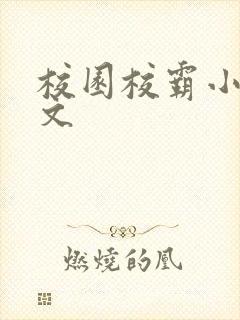 校园校霸小说甜文