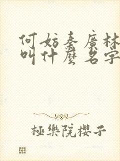 何妨秦广林小说叫什么名字封面