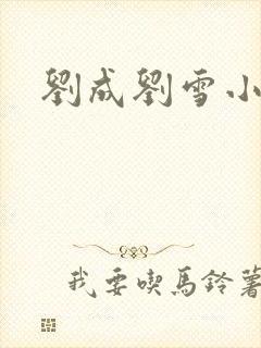 刘成刘雪小说