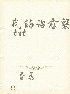 我的治愈系游戏 txt封面