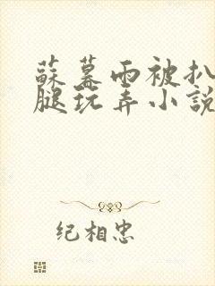 苏暮雨被扒开双腿玩弄小说