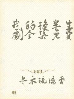 我的后半生电视剧全集免费观看