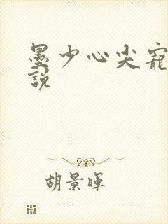 墨少心尖宠 小说