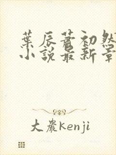 叶辰萧初然结局小说最新章节