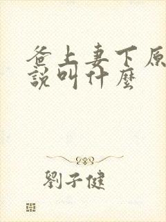 爸上妻下原著小说叫什么封面