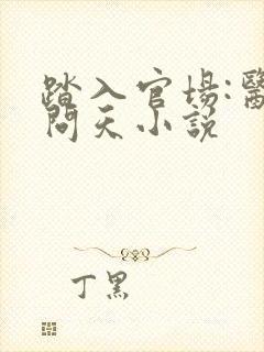 踏入官场:医道问天小说封面