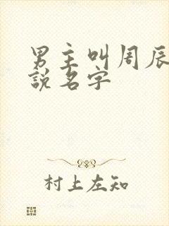 男主叫周辰的小说名字