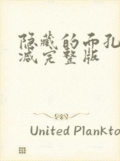 隐藏的面孔无删减完整版封面