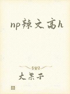 np辣文高h