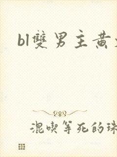 bl双男主黄文封面
