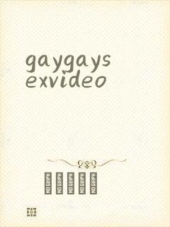 gaygaysexvideo
