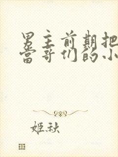 男主前期把女主当哥们的小说封面