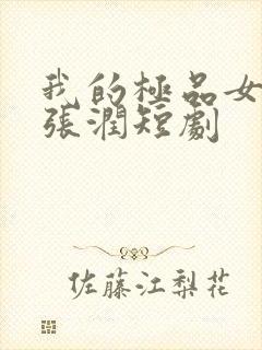 我的极品女总裁张润短剧封面