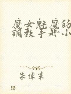 魔女魅魔的堕落调教手册小说全文阅