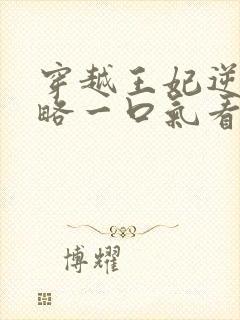 穿越王妃逆袭攻略一口气看完