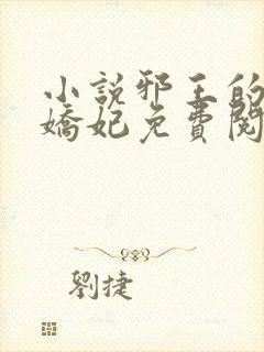 小说邪王的盛宠娇妃免费阅读全文