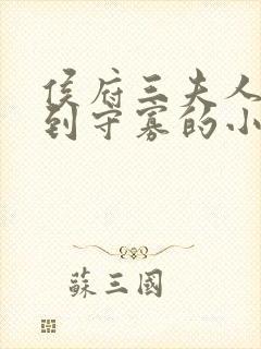 侯府三夫人重生到守寡的小说封面