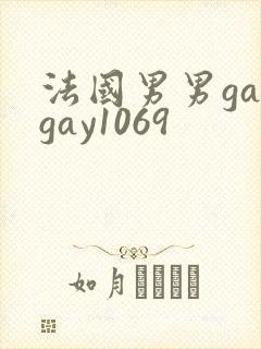 法国男男gaygay1069