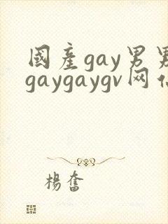 国产gay男男gaygaygv网站