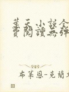 叶天小说全文免费阅读无弹窗封面