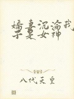 娇妻沉沦我的妻子是女神