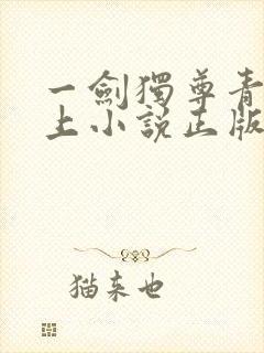 一剑独尊青鸾峰上小说正版封面