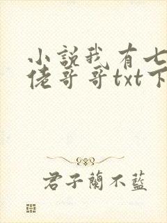 小说我有七个大佬哥哥txt下载