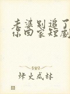 老婆别追了我跟你回家短剧免费观看全集封面