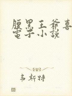 腹黑王爷喜当爹电子小说